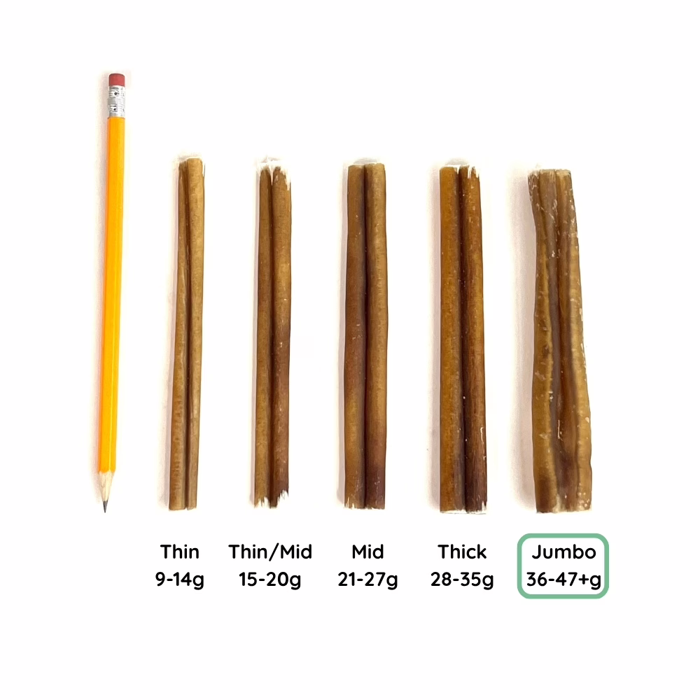6" Bully Sticks | Jumbo (36-47+g) | Very Low Odor 6 6" Bully Stick Comparison Photo Jumbo (from above)