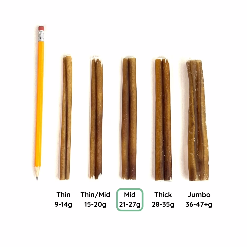6" Bully Sticks | Mid (21-27g) | Very Low Odor 7 12" Bully Stick Comparison Photo Mid (from above)