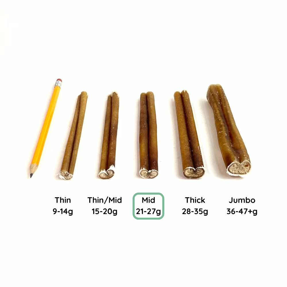 6" Bully Sticks | Mid (21-27g) | Very Low Odor 6 12" Bully Stick Comparison Photo Mid (from an angle)