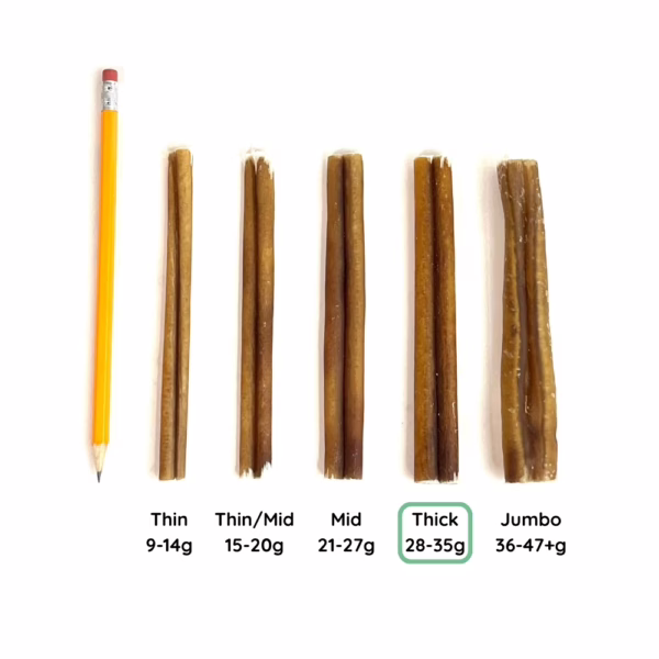 12" Bully Stick Comparison Photo Thick (from above)
