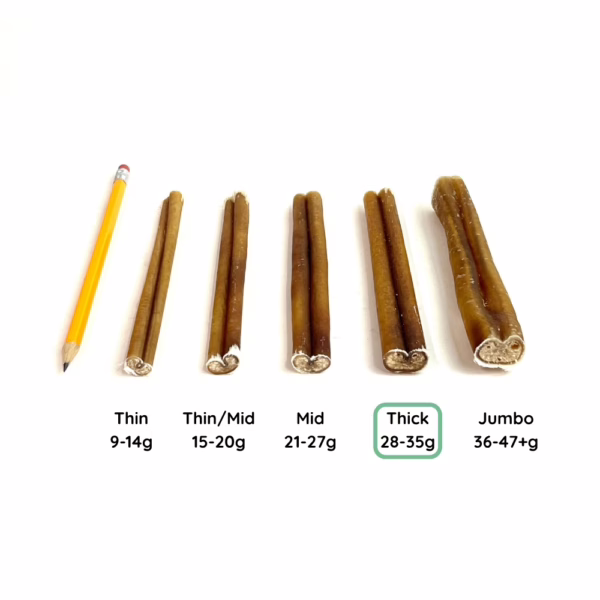 12" Bully Stick Comparison Photo Thick (from an angle)