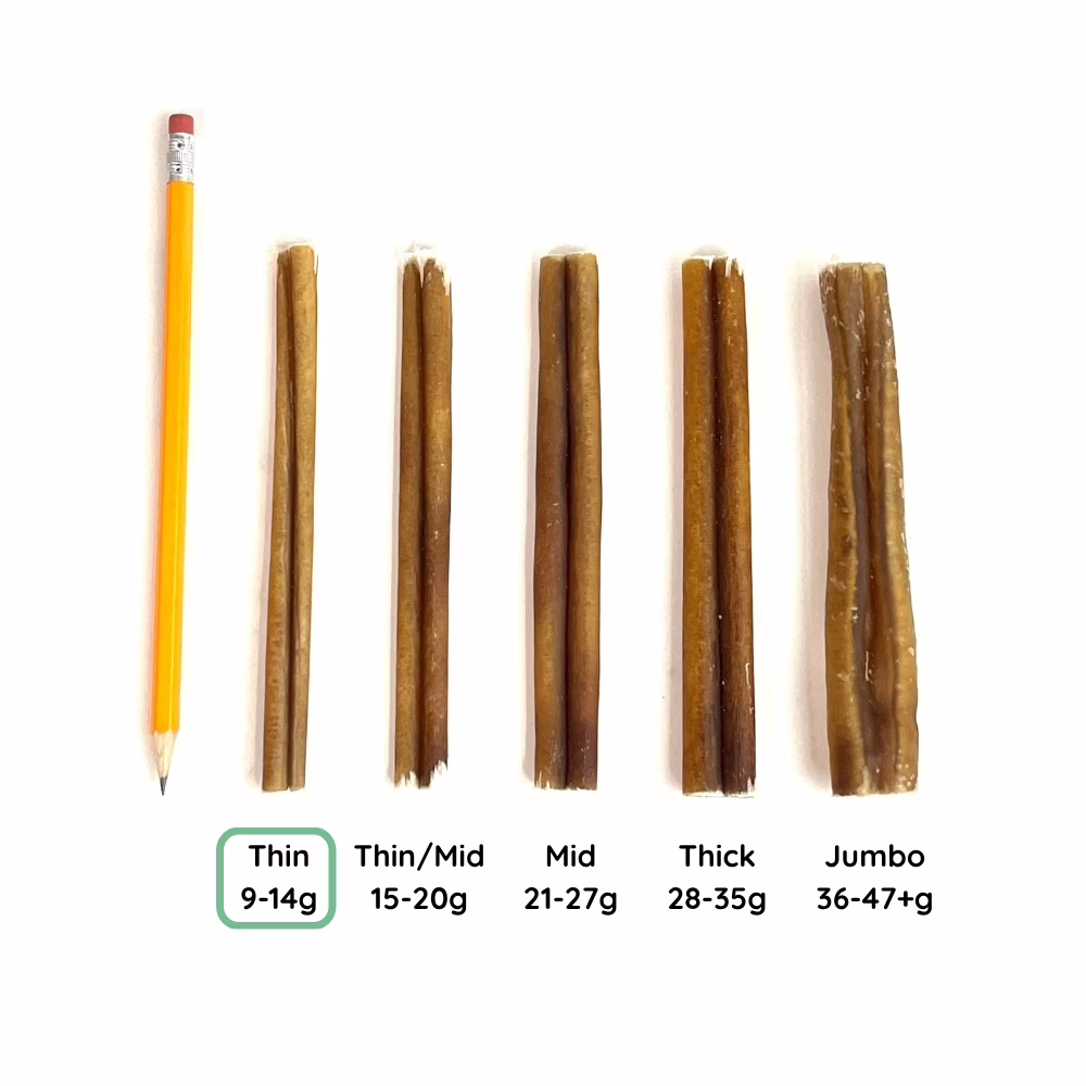6" Bully Sticks | Thin (9-14g) | Very Low Odor 7 12" Bully Stick Comparison Photo Thini (from above)