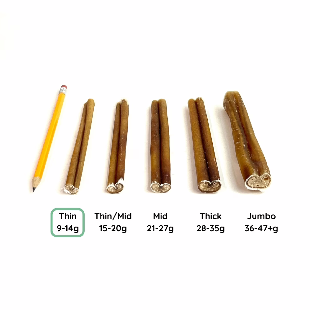 6" Bully Sticks | Thin (9-14g) | Very Low Odor 6 12" Bully Stick Comparison Photo Thin (from an angle)
