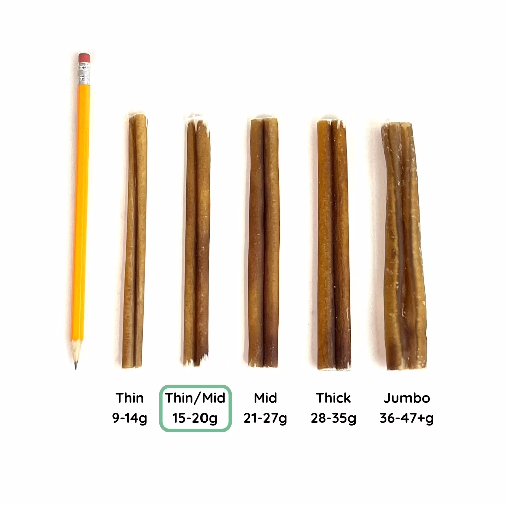 6" Bully Sticks | Thin/Mid (15-20g) | Very Low Odor 7 12" Bully Stick Comparison Photo Thin/Mid (from above)