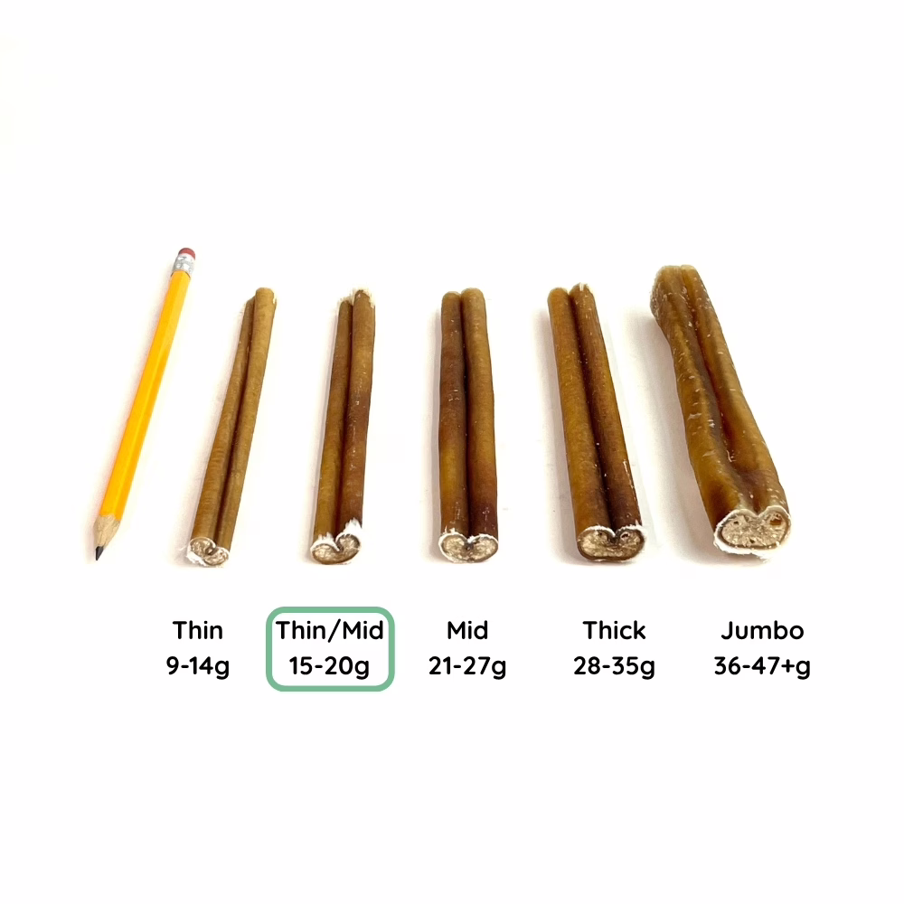 6" Bully Sticks | Thin/Mid (15-20g) | Very Low Odor 6 12" Bully Stick Comparison Photo Thin/Mid (from an angle)