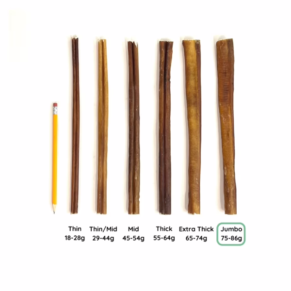 12" Bully Stick Comparison Photo Jumbo (from above)