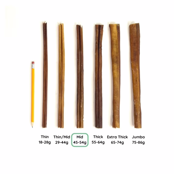12" Bully Stick Comparison Photo Mid (from above)