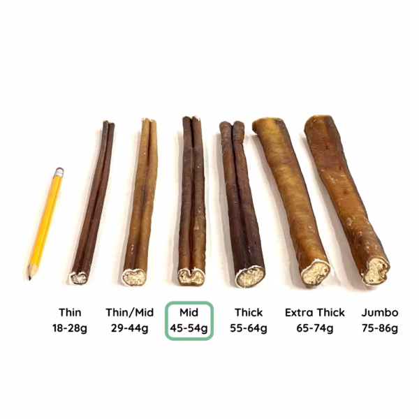 12" Bully Stick Comparison Photo Mid (from an angle)