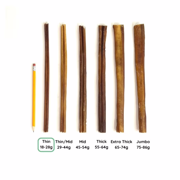 12" Bully Stick Comparison Photo Thin (from above)