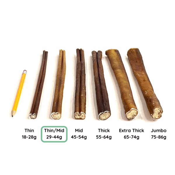 12" Bully Stick Comparison Photo Thin/Mid (from an angle)