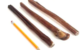 12" Bully Sticks Mid-Grade Thick with a pencil