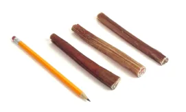 6" Bully Sticks Mid Thickness Mid-Grade with a pencil