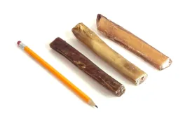 6" Jumbo Bully Sticks Mid-Grade with a pencil