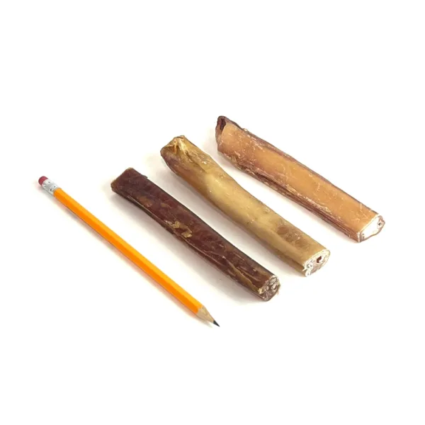 6" Jumbo Bully Sticks Mid-Grade with a pencil