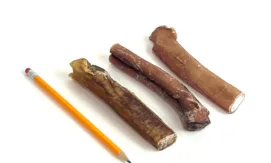 6" Extra Jumbo Bully Sticks with a pencil