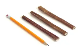 6" Bully Sticks Thin Mid-Grade with a pencil