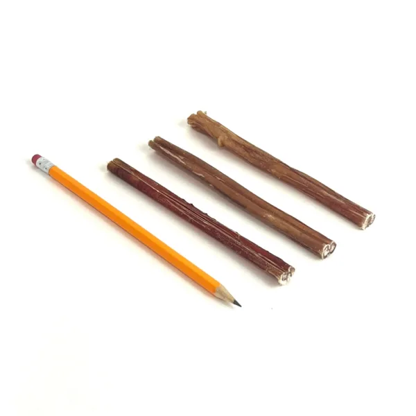 6" Bully Sticks Thin Mid-Grade with a pencil