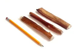 6" Thick Bully Sticks, Low Odor, with a pencil for comparison