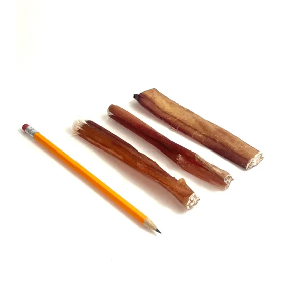 6" Thick Bully Sticks, Low Odor, with a pencil for comparison