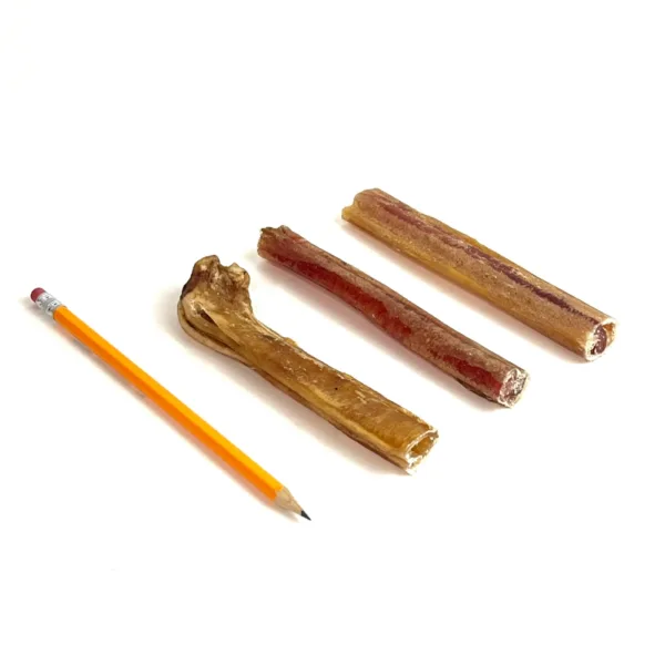 6" Low-Grade Bully Sticks, Medium Odor, next to a pencil for comparison