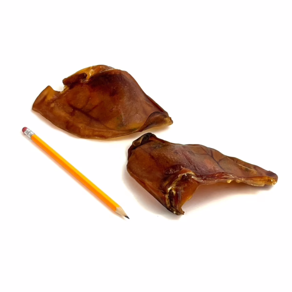 Pig ears, low odor, next to a pencil for comparison