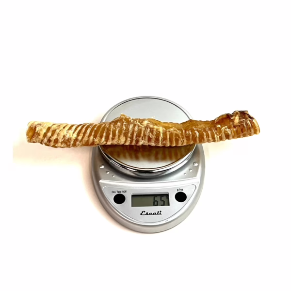 12" beef trachea, very low odor, on a scale