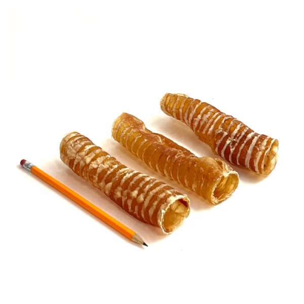 6" beef trachea, very low odor, next to a pencil