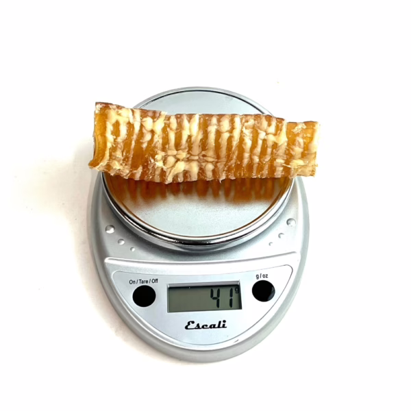 6" beef trachea, very low odor, on a scale