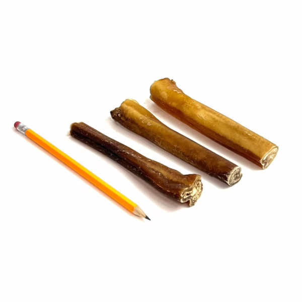 6" straight bully sticks, jumbo, low-medium odor, next to a pencil