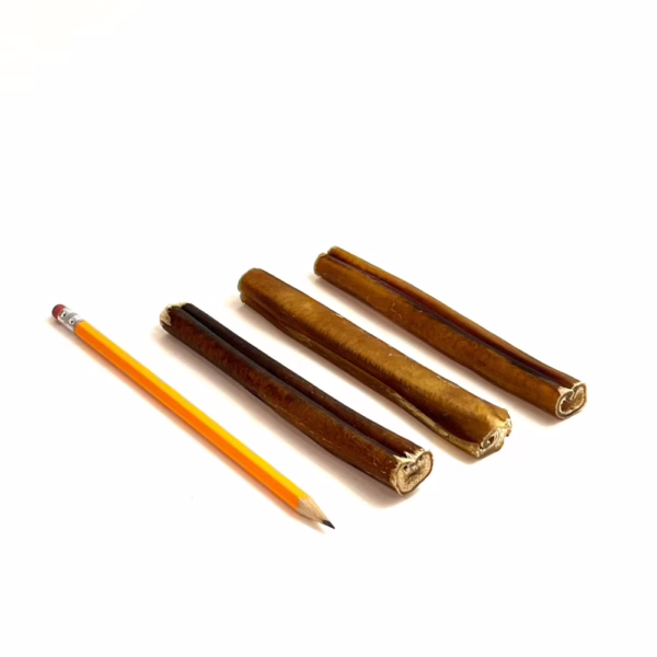 6" straight bully sticks, thick, low-medium odor, next to a pencil