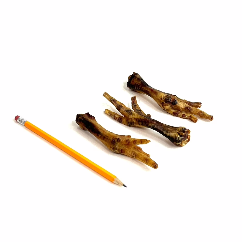 Chicken Feet next to a pencil