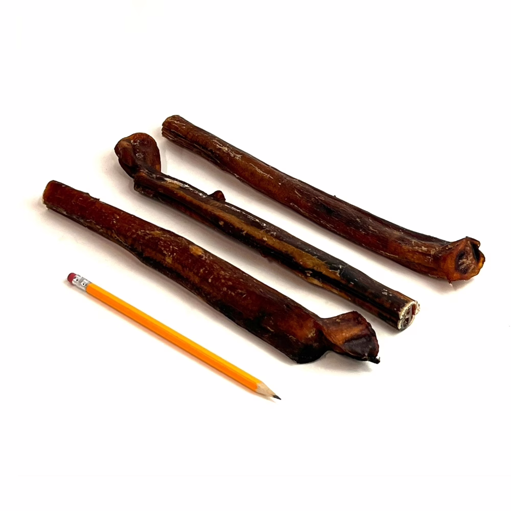 12" Bully Sticks - Overcooked/Imperfect **Tend To Chew Through More Quickly** | Extra Jumbo (90+g) | Low Odor 1 12" straight bully sticks, extra jumbo, overcooked, imperfect appearance, low odor, pencil