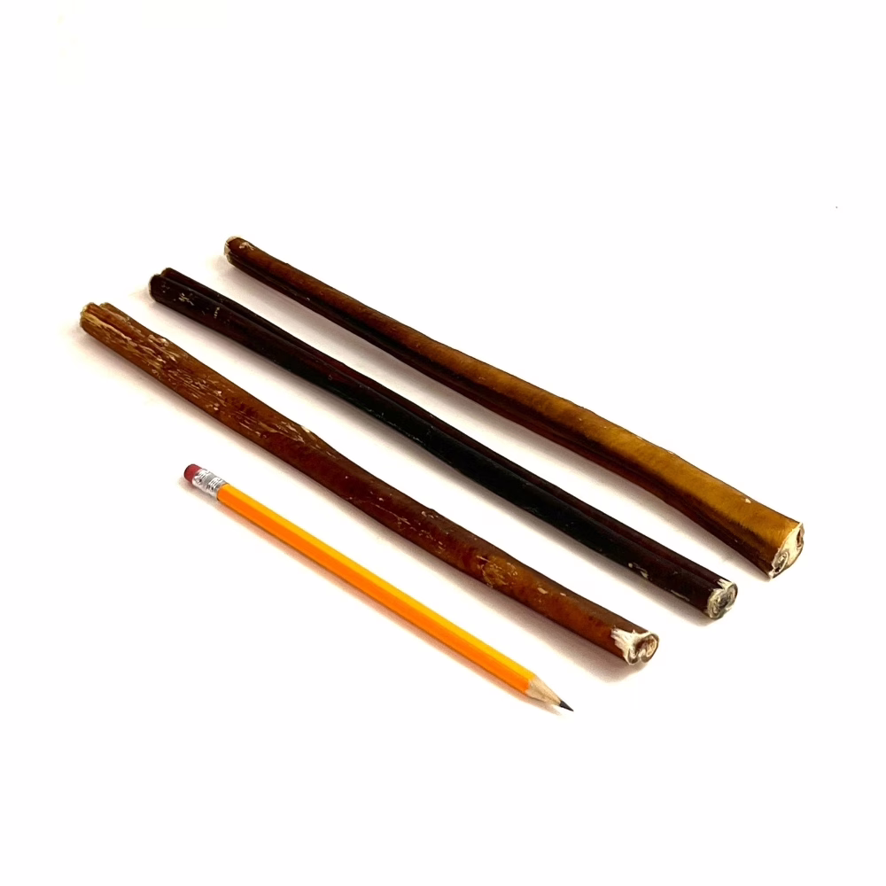 12-inch-bully-sticks-48-56-grams-low-medium-odor-pencil-m6 12" straight bully sticks, mid-thick, low-medium odor, next to a pencil