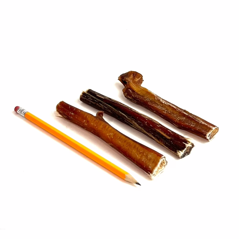 6" Bully Sticks - Overcooked/Imperfect **Tend To Chew Through More Quickly** | Thick (28-35g) | Low Odor 1 6" straight bully sticks, thick, overcooked, imperfect appearance, low odor, pencil