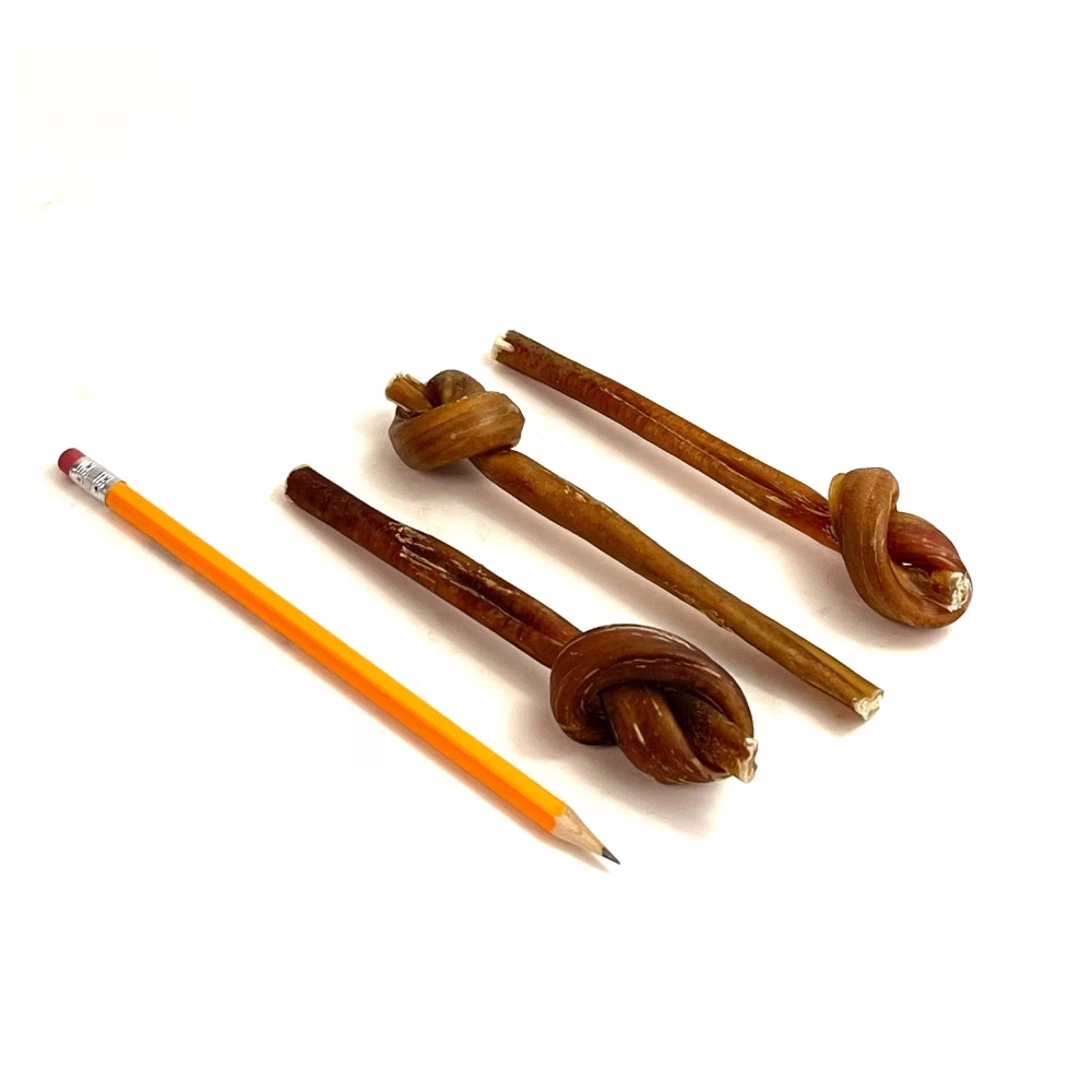 6-inch-bully-sticks-lollipop-mid-low-medium-odor-pencil-m6 6" lollipop bully sticks, mid, low-medium odor, next to a pencil