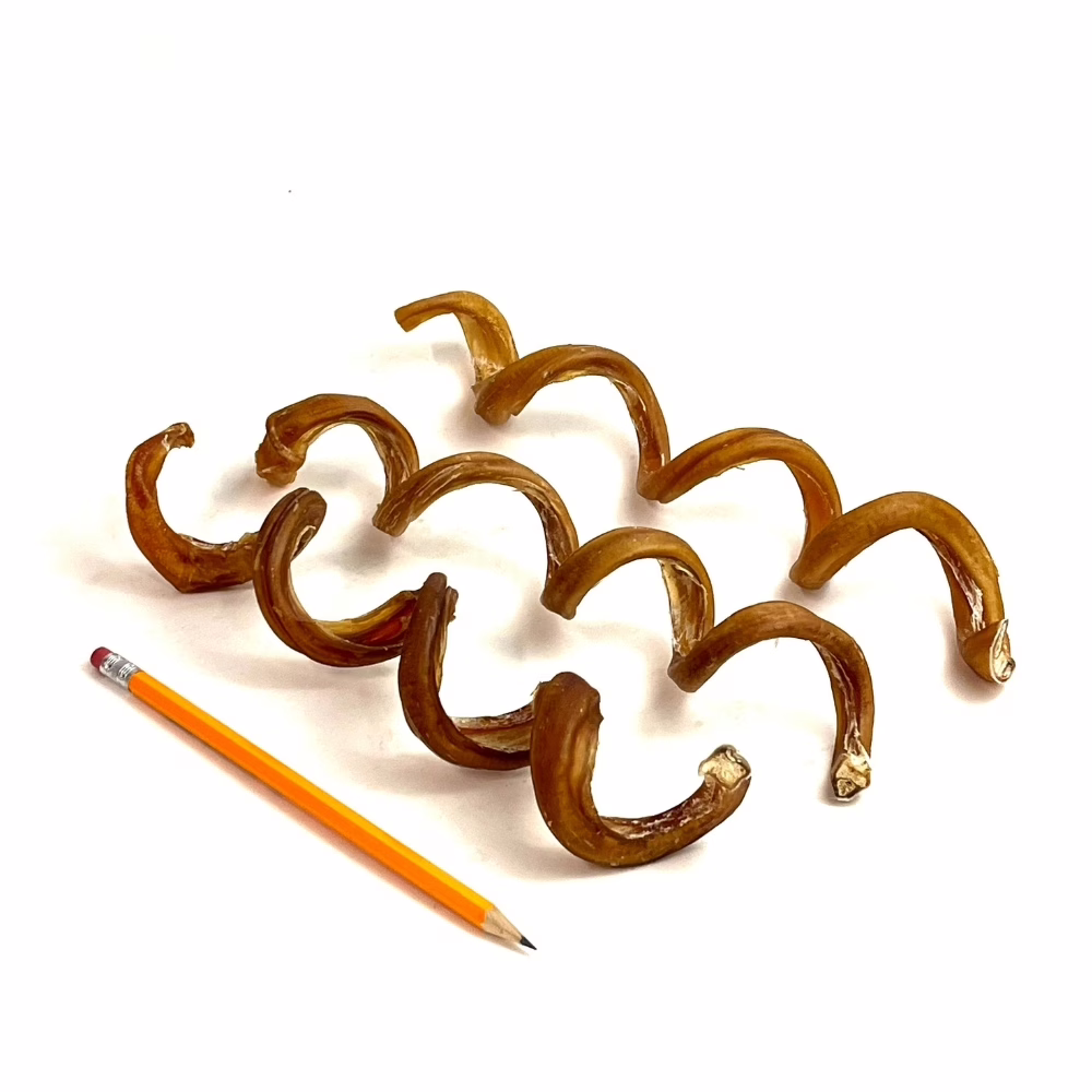 Bully spirals, low-medium odor, next to a pencil for comparison