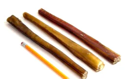 12" Bully Sticks | Extra Thick (65-74g) | Very Low Odor 7 12" straight bully sticks, extra thick / jumbo, low-medium odor, next to a pencil