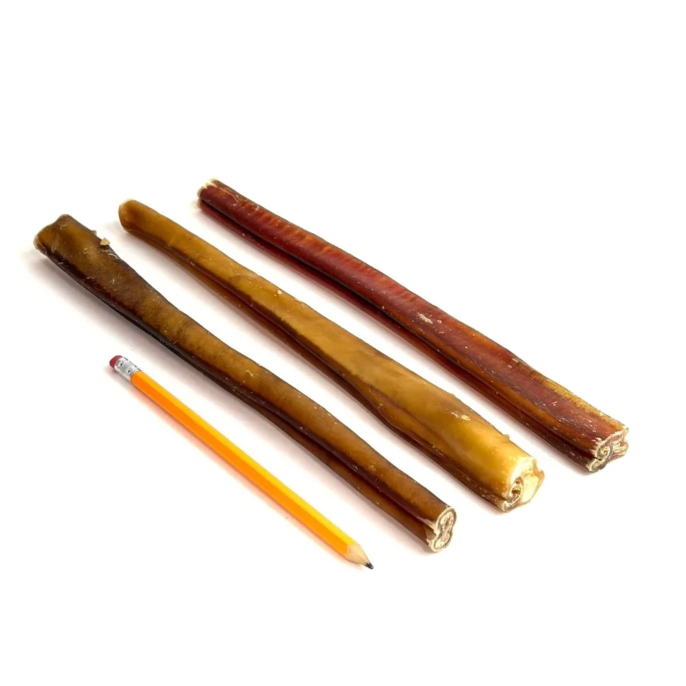 12" straight bully sticks, extra thick / jumbo, low-medium odor, next to a pencil