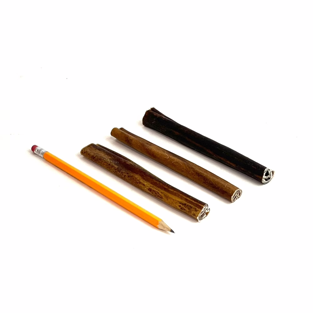 6-inch-collagen-sticks-mid-pencil-m14 6" collagen sticks, mid, next to a pencil for comparison