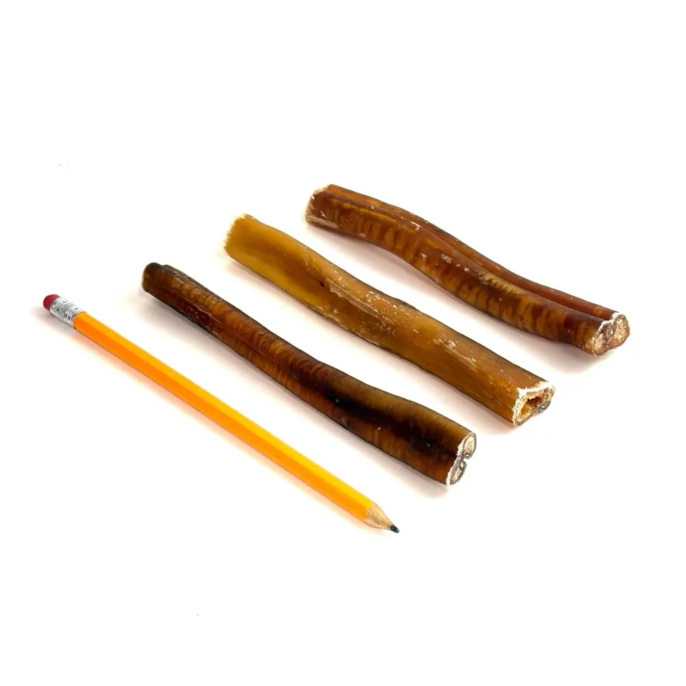 6-inch-bully-sticks-mid-jumbo-very-low-odor-slightly-overcooked-pencil-m1 6" straight bully sticks, mid-jumbo, very low odor, slightly overcooked, pencil