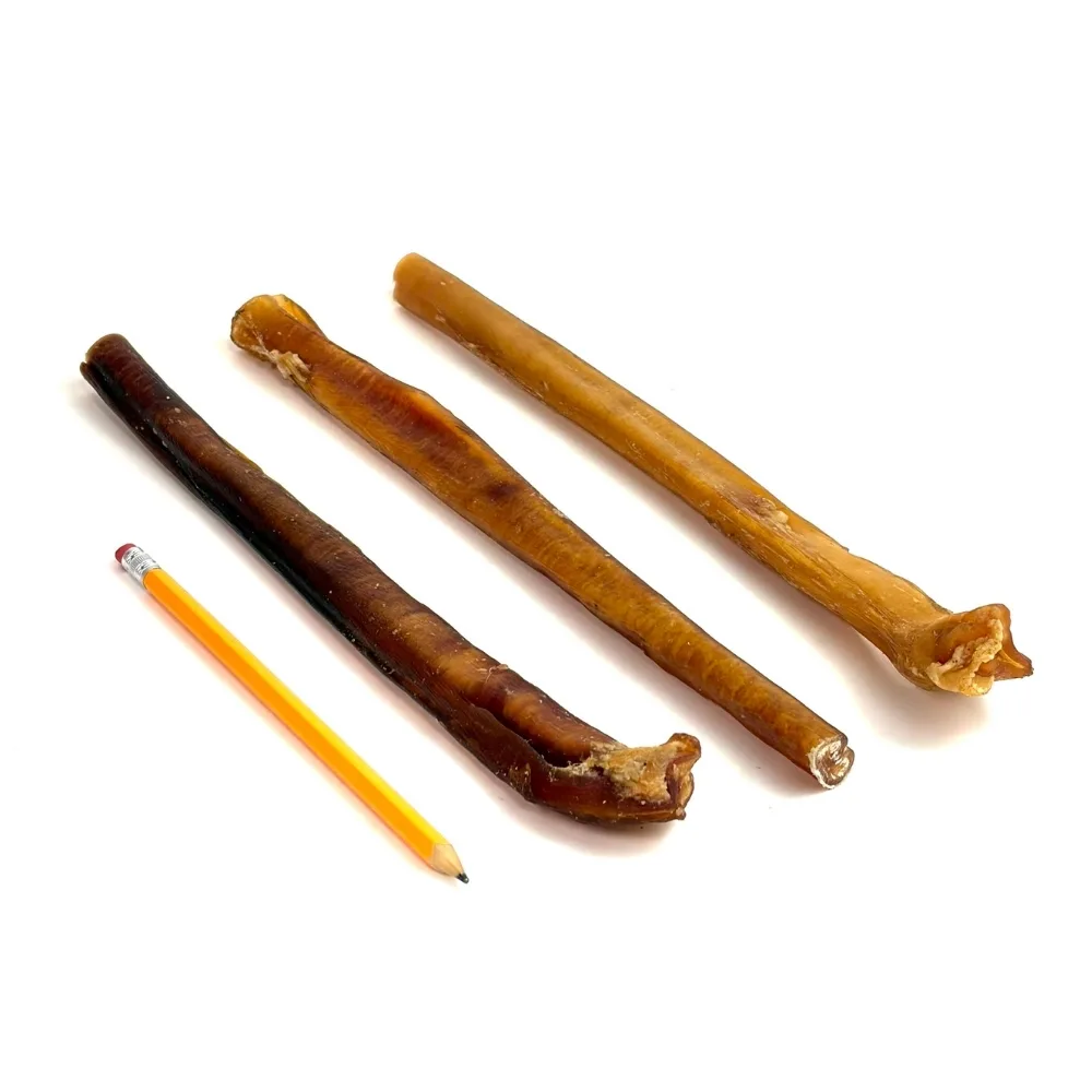 12-inch-bully-sticks-extra-thick-jumbo-imperfect-appearance-medium-odor-pencil-m17 12" straight bully sticks, extra thick - jumbo, may have imperfect appearance, medium odor, pencil