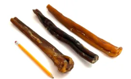 12" Bully Sticks | Extra Thick / Jumbo (65-86g) | Medium Odor - May Have Imperfect Appearance 7 12" straight bully sticks, extra jumbo, may have imperfect appearance, medium odor, pencil