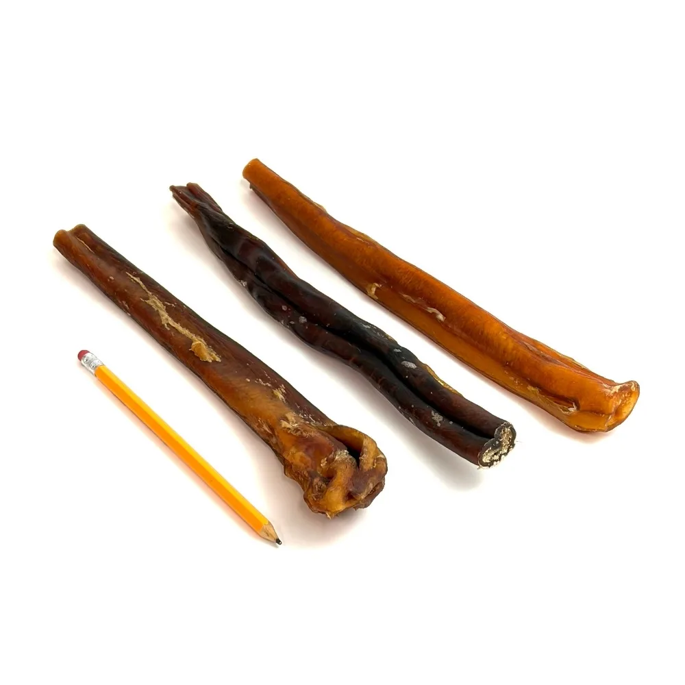 12-inch-bully-sticks-extra-jumbo-imperfect-appearance-medium-odor-pencil-m17 12" straight bully sticks, extra jumbo, may have imperfect appearance, medium odor, pencil