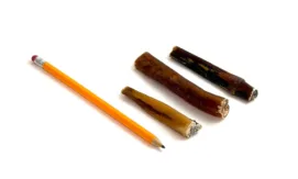 3"-5" straight bully sticks, thin-thick, low-medium odor, next to a pencil