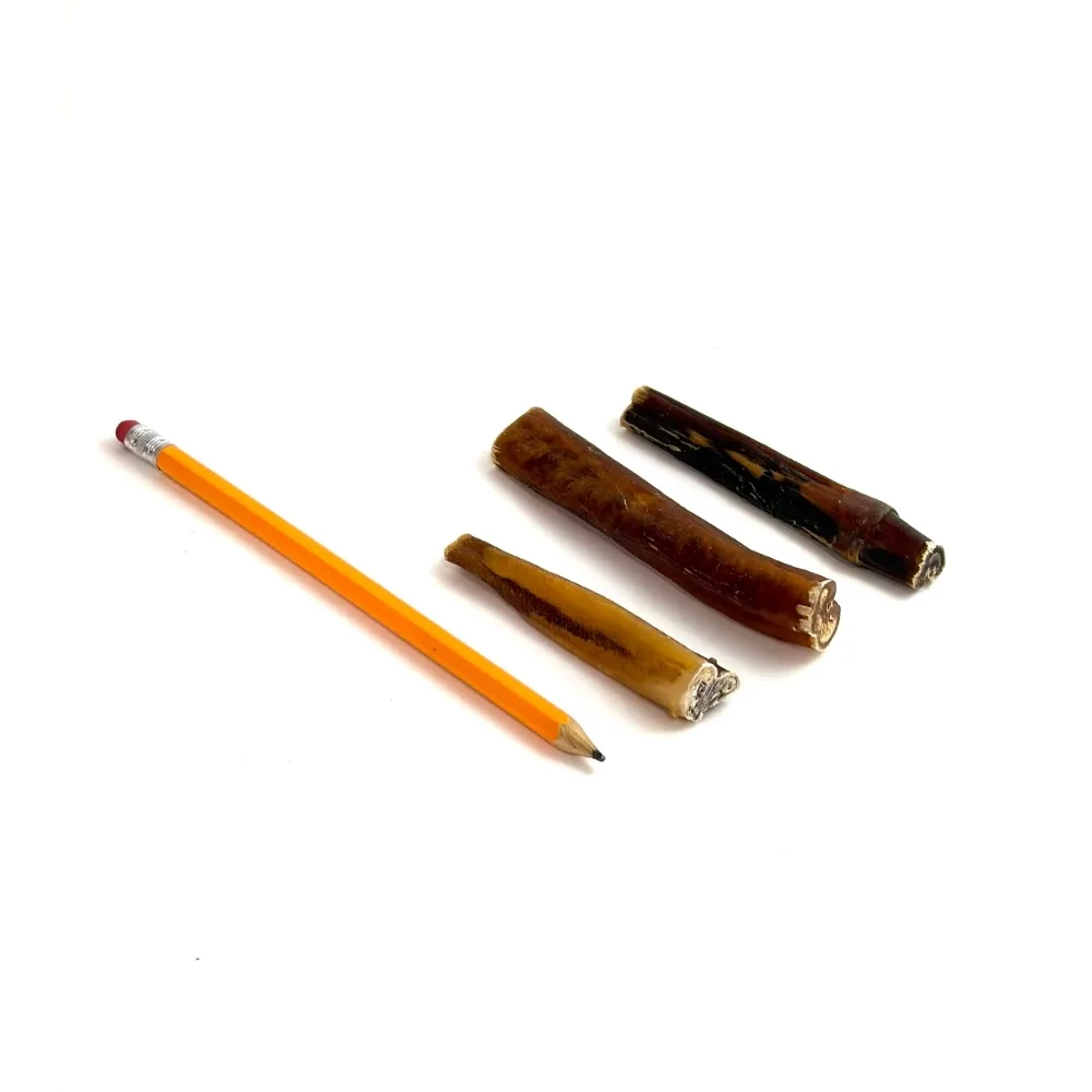 3-5-inch-bully-sticks-~7-20-grams-low-medium-odor-pencil-m6 3"-5" straight bully sticks, thin-thick, low-medium odor, next to a pencil
