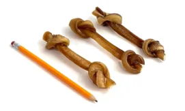 Candy Cane Bully Sticks | Mid/Thick (30-50g) | Low-Medium Odor 4 6" bully barbell, thin-mid, low-medium odor, next to a pencil for comparison