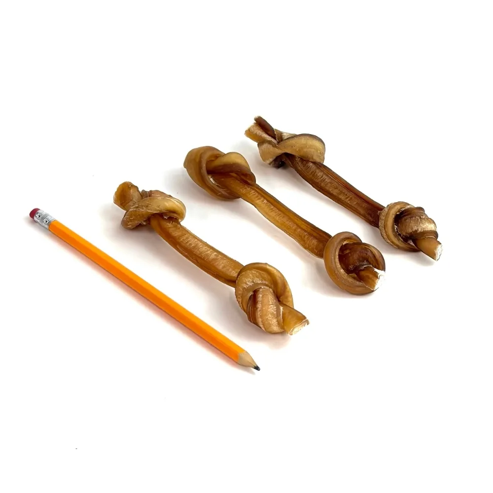 6" bully barbell, thin-mid, low-medium odor, next to a pencil for comparison