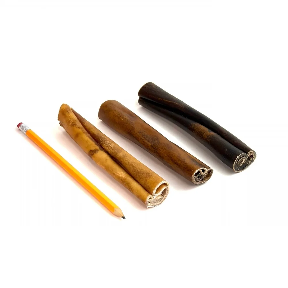 6" collagen sticks, jumbo, next to a pencil for comparison